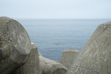 sea bar with protections in stone
