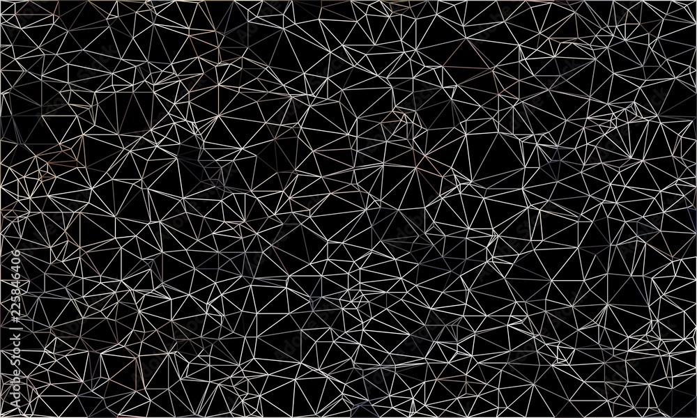 Aufkleber wireframe polygonal abstract mesh. vector polygon which consist of triangles. geometric black backgr