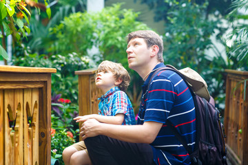 Father and preschool kid boy discovering flowers, plants and butterflies at botanic garden. Family,...