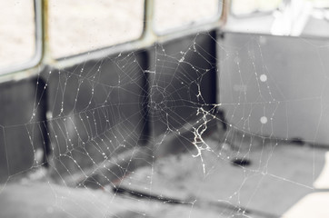 torn spider web on an old bus