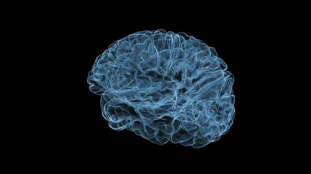 Holographic projection of the rotating larger part of the brain.
Loop ready animation with rotating brain model.