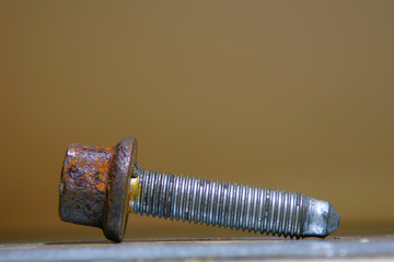 One rusty bolt