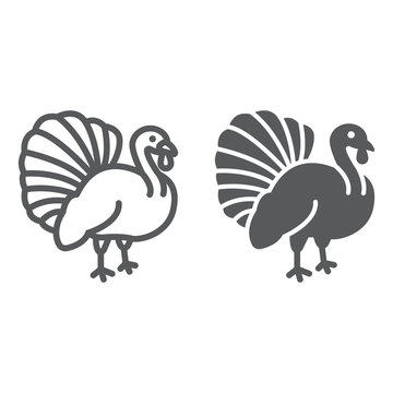Turkey bird line and glyph icon, animal and farm, poultry sign, vector graphics, a linear pattern on a white background.