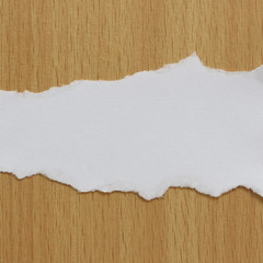 pieces of torn paper background. copy space