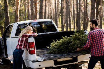young couple carrying fir tree for christmas in pickup truck in forest
