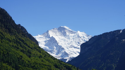 Jungfrau 2017