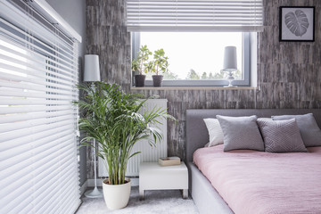 Real photo of a grey bedroom interior with a bed, pillows, big plant and window blinds - obrazy, fototapety, plakaty