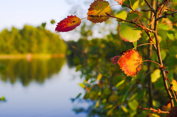 Herbststimmung am See