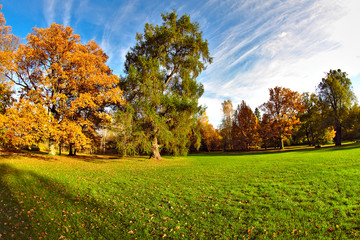 Naklejka premium Autumn colors in the park