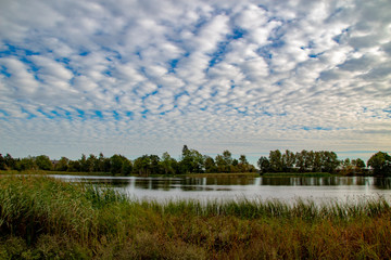 Moorlandschaft 