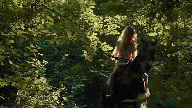 Female rider is walking in a summer forest, sitting horseback. She is controlling a horse, holding reins, sun is shining on her curly hair