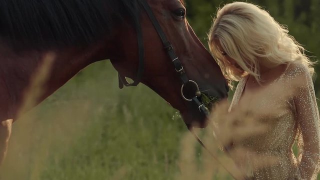 Portrait of a sexy blonde girl posing with a horse in a field in nature, summer shooting. Woman petting lovely horse, tamed animal.