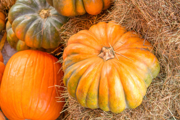 Pumpkin on the hay in the autumn season.