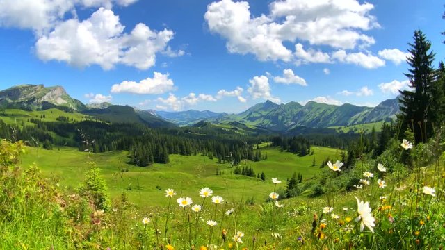 Summer time mountain nature panoramic landscape near Habkern, Switzerland