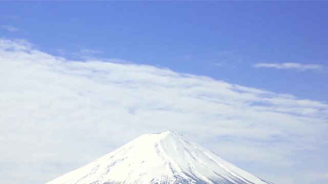 満開の桜と富士山／空へチルトアップ