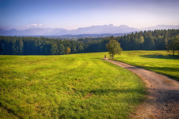Bavarian landscape with view of the Alps.Panorama view of german countryside,mountain, meadow and forest with country path.