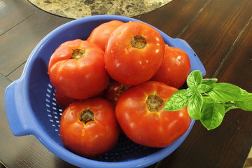 garden fresh tomato with basil leaf and water drops isolated on wooden background