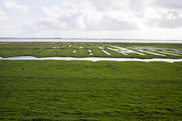 Deichlandschaft