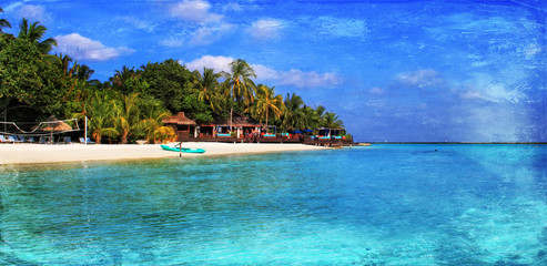 Beautiful tropical paradise island, the Maldives
