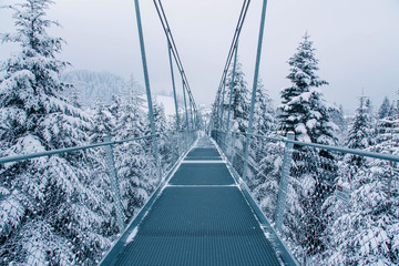 Pedestrian suspension bridge in Sattel Lucerne region Switzerland.