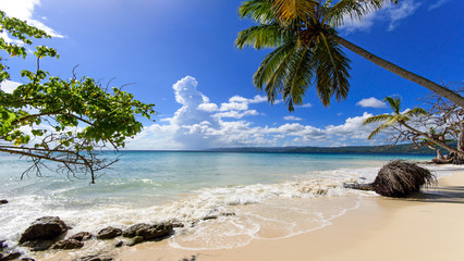 Cayo Levantado: Antillen, Karibik, Ferien, Tourismus, Sommer, Sonne, Strand, Auszeit, Meer, Glück, Entspannung, Meditation, Palmen, Mangroven: Traumurlaub an einem einsamen, karibischen Strand :)