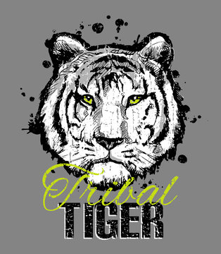 Tribal tiger. Hand-drawn tiger for T-shirt printing. Vector design for t-shirt print