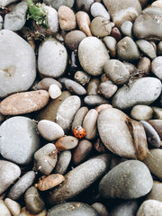 pebbles on the beach