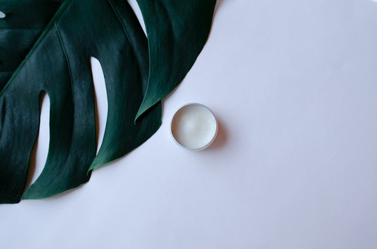 Monstera Leaf On A White Background With Lip Balm. Lip Care Concept