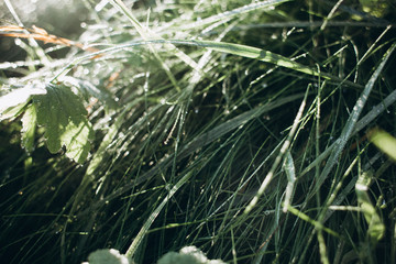 cold october morning