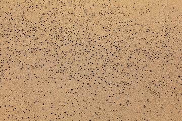 Naklejka na ściany i meble Wet sand on the beach drying water left small holes. Abstract marine nature background.
