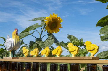 Wooden Hen and Her Chicks Arranged in a Row Near Blooming Sunflowers on a Farm
