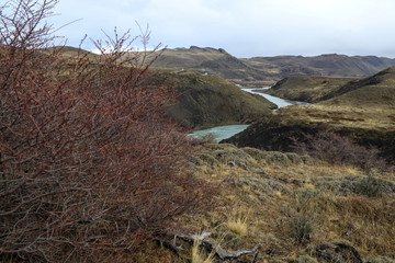 Rio Paine 