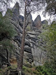 Affenfelsen, Sächsische Schweiz
