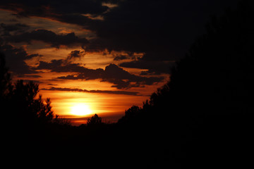 Dusk really dark, seen among the trees.
