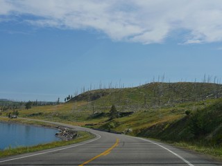Slope with leftover damaged trees from wild fires at the Yellowstone National Park.