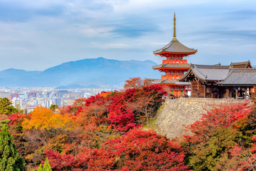 Obraz premium Kolor jesieni w świątyni Kiyomizu-dera w Kioto w Japonii