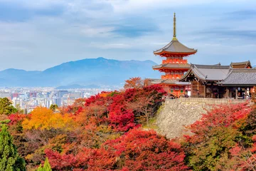 Foto op Plexiglas Herfstkleur bij de Kiyomizu-dera-tempel in Kyoto, Japan © Phattana