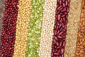 Plexiglas foto achterwand Multicolor dried legumes for diagonal background, Different dry bean for eating healthy © peangdao