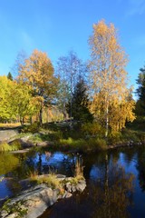 Fototapeta na wymiar Koiteli rapids Kiiminki river in autumn. Finnish fall, Oulu Finland. Beautiful autumn colors and bright blue water. 