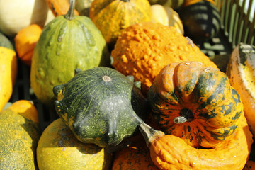 Тыквы и патиссоны на уличном рынке