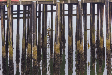 Reflectionsof the old dock