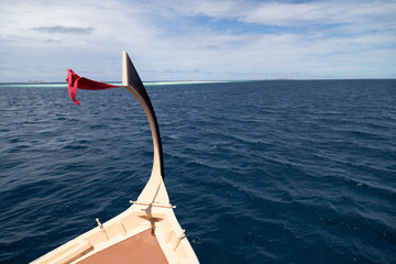 Dhoni front in indian ocean II