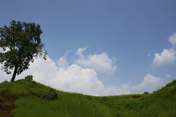 Fototapeta na wymiar View of lush green hill landscape with clouds as background in rural Maharashtra
