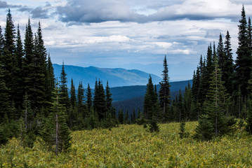 Raven Lake trail, Prince George