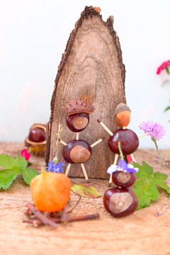 Kastanienm&auml;nnchen Familie