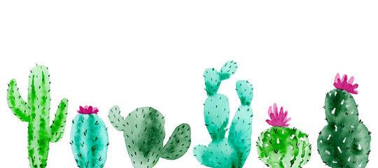 Set of watercolor cactus, succulent, isolated watercolor illustration on white Natural watercolor design elements, botanical collection. Design for wedding,greeting card,photos,blogs,wreaths,pattern. © Anastasia