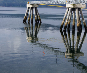 reflections on the dock