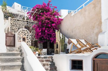 Traditional Greek yard, decorated with bougainvillea flowers at Santorini island, Greece