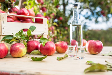 Apple brandy distillate with apples on garden table. © weyo