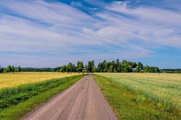 Rural Finland. Dirt road and field against the blue sky. Beautiful summer landscape near town of...